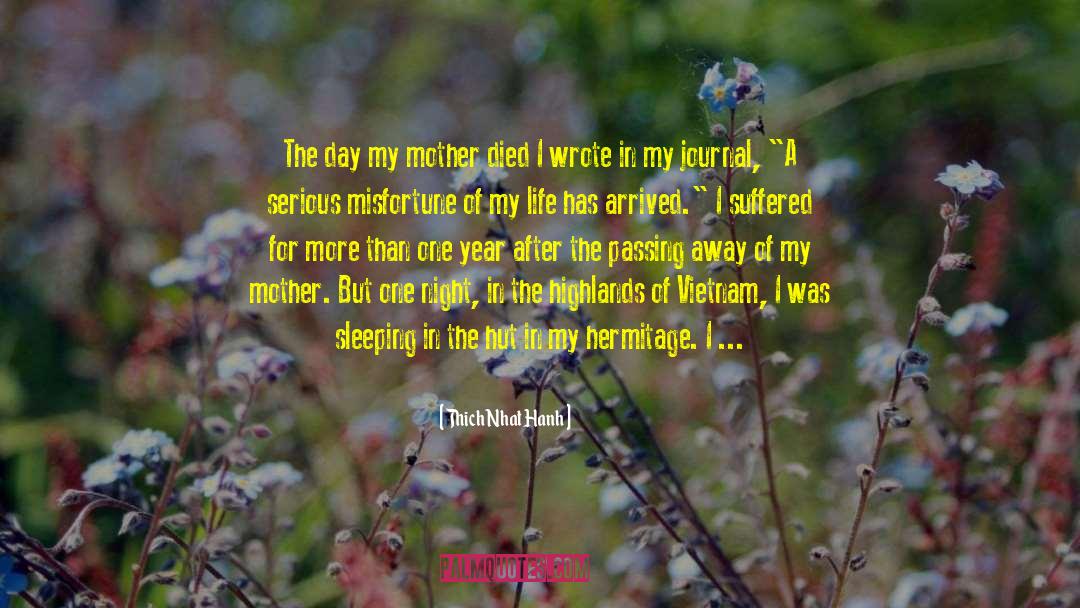 Mother Died quotes by Thich Nhat Hanh
