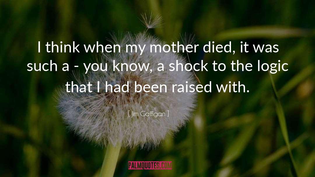 Mother Died quotes by Jim Gaffigan