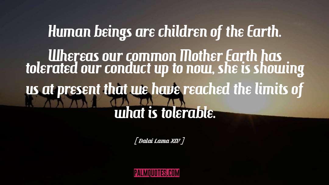 Mother Earth quotes by Dalai Lama XIV