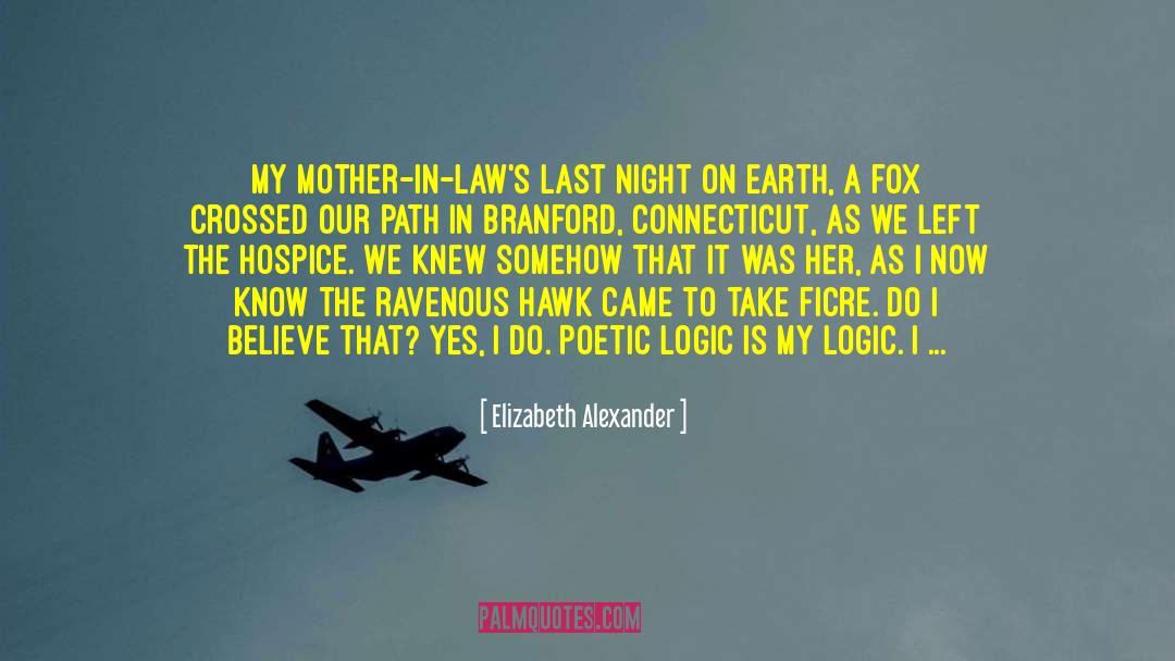 Mother In Laws quotes by Elizabeth Alexander