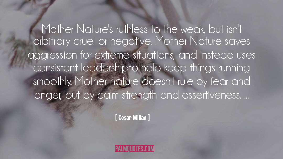 Mother Nature quotes by Cesar Millan