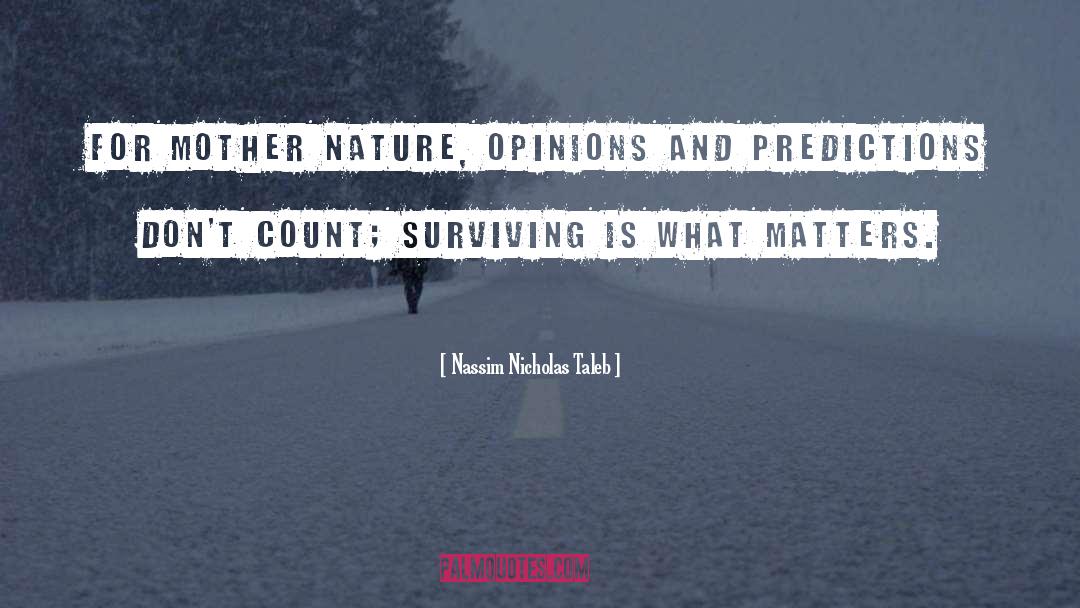 Mother Nature quotes by Nassim Nicholas Taleb