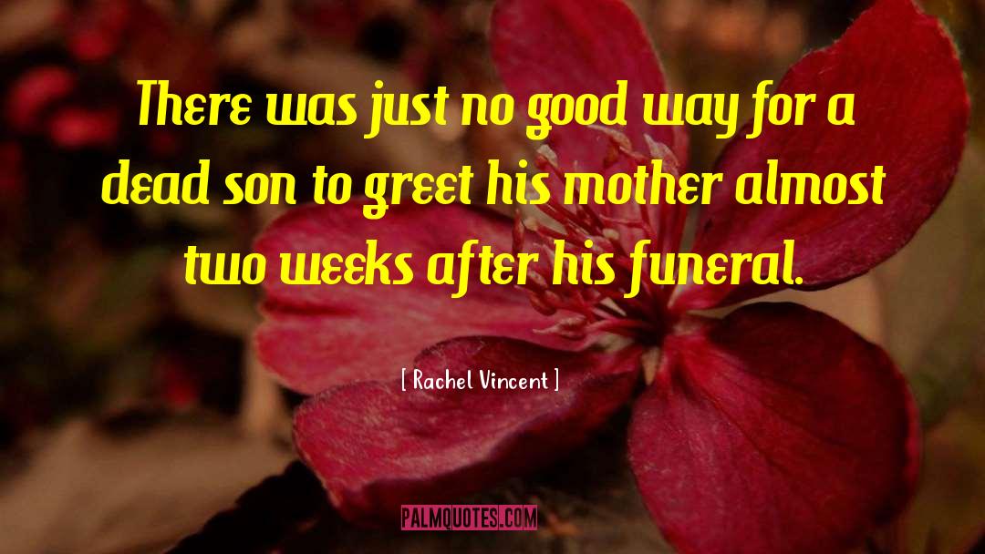 Mother Son quotes by Rachel Vincent