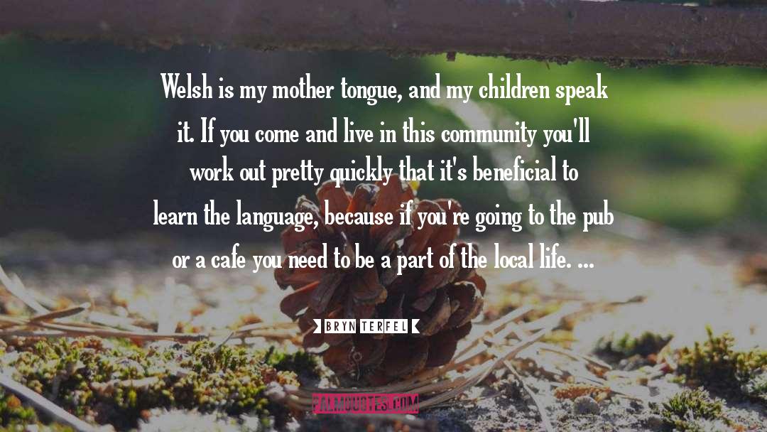 Mother Tongue quotes by Bryn Terfel