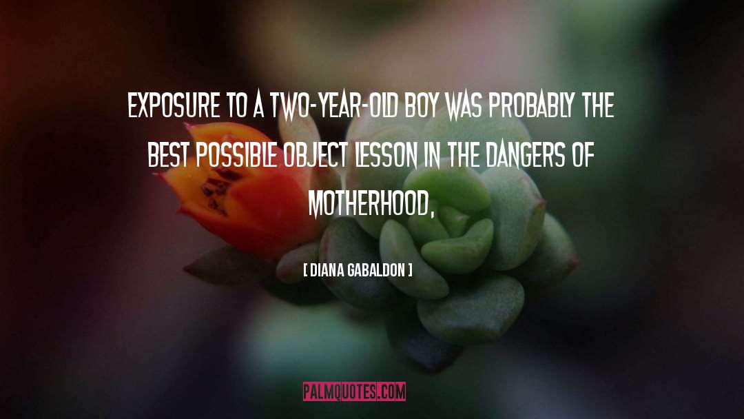 Motherhood quotes by Diana Gabaldon