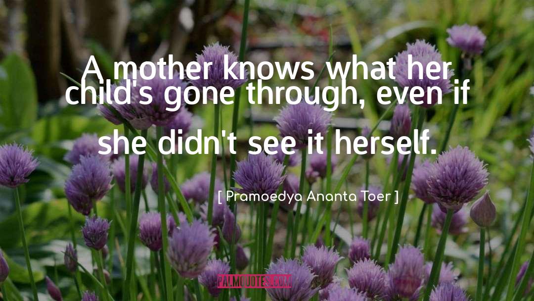 Motherhood quotes by Pramoedya Ananta Toer