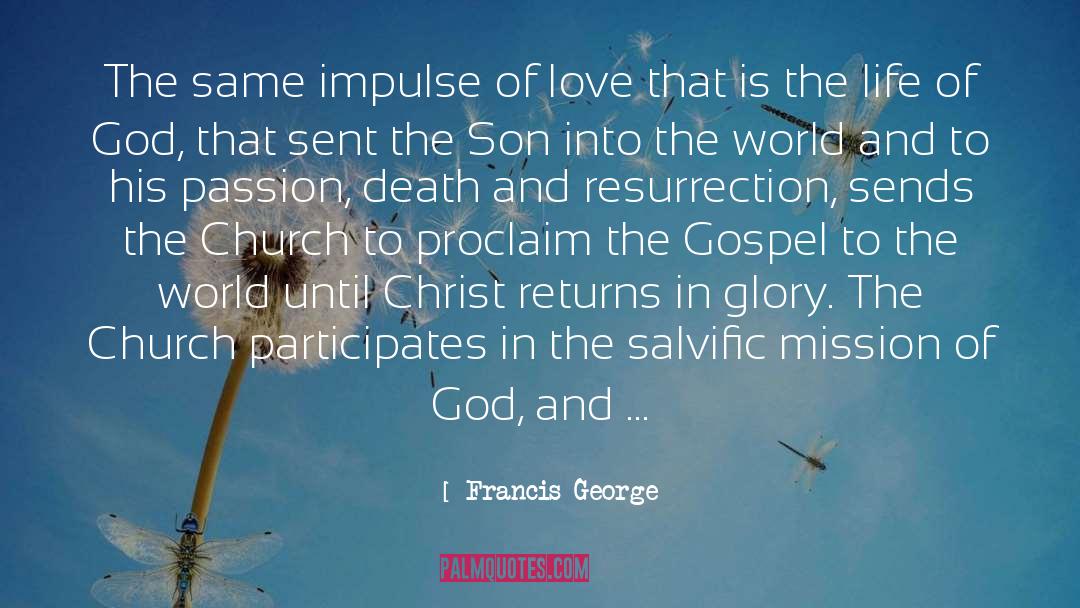 Mothers Love To His Son quotes by Francis George