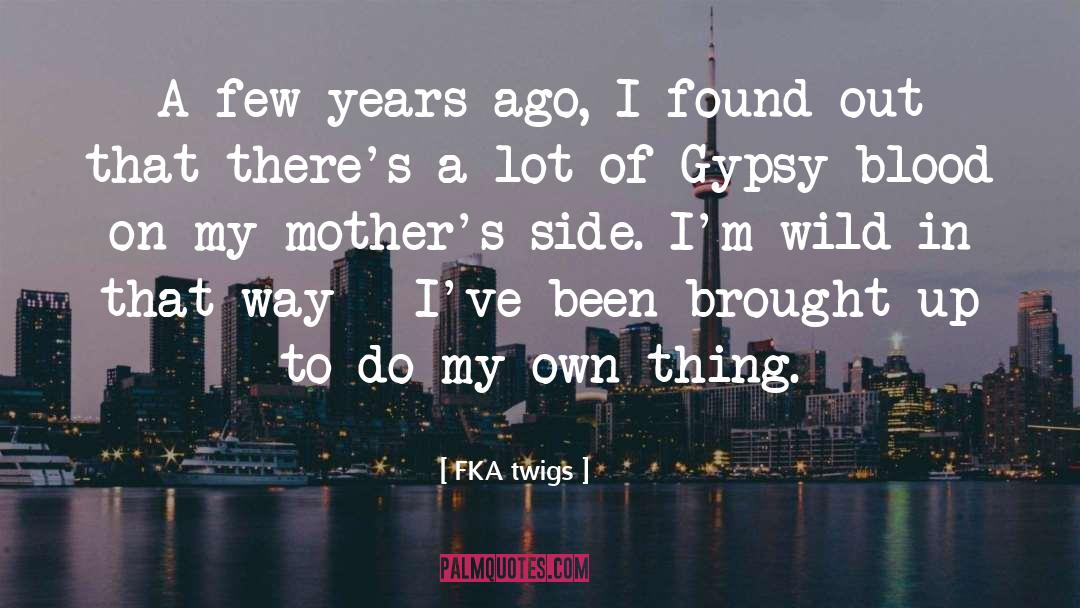 Mothers Wrath quotes by FKA Twigs