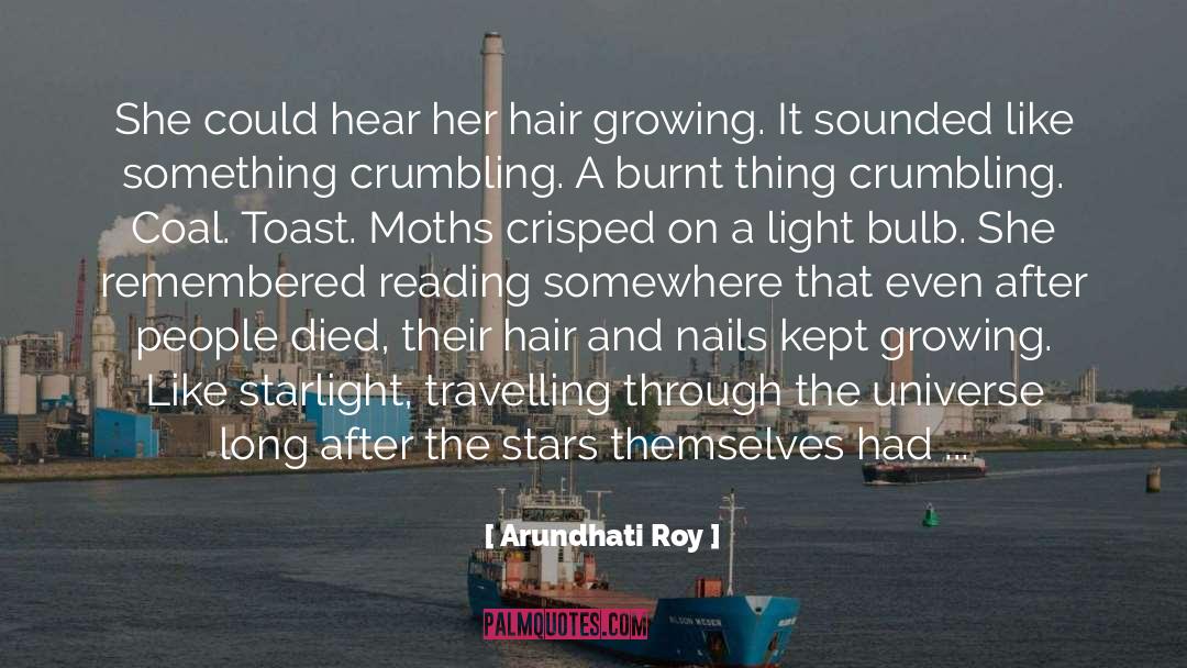 Moths quotes by Arundhati Roy