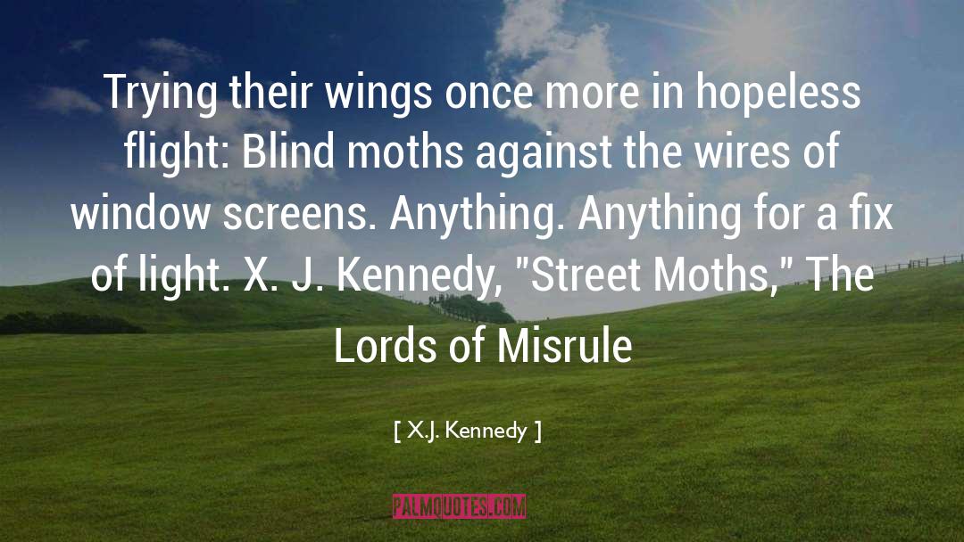 Moths quotes by X.J. Kennedy