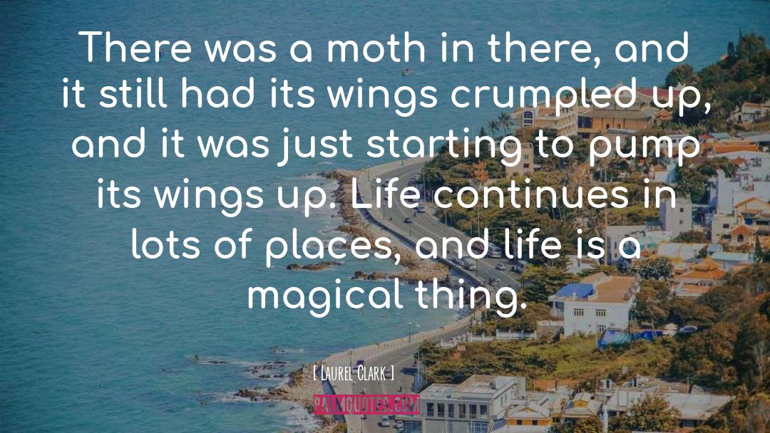 Moths quotes by Laurel Clark