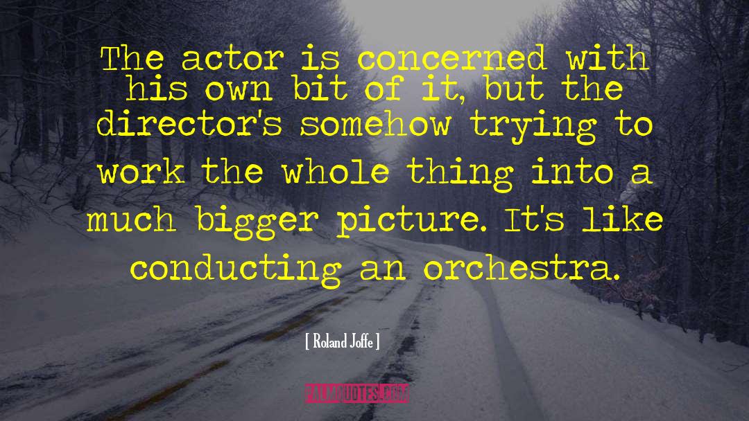 Motion Picture Directors quotes by Roland Joffe