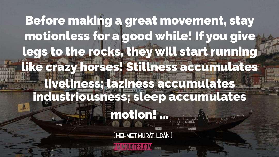 Motionless quotes by Mehmet Murat Ildan
