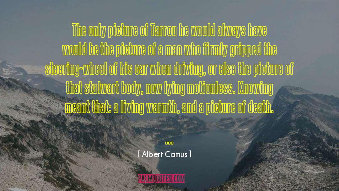 Motionless quotes by Albert Camus