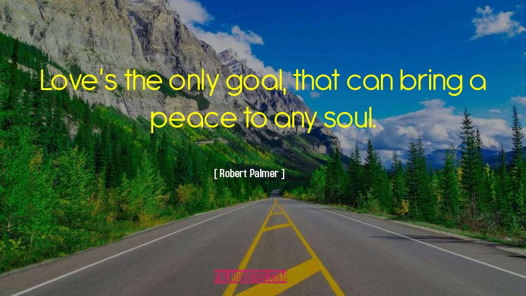 Motivational Goal quotes by Robert Palmer