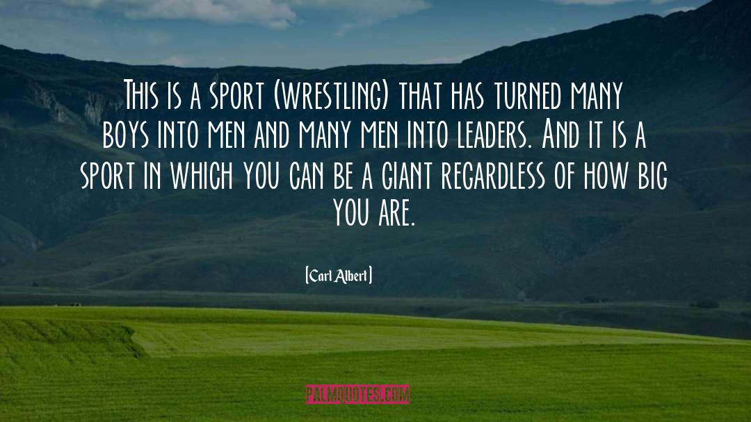 Motivational Sports quotes by Carl Albert