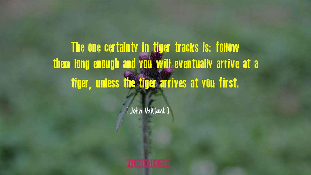 Motivational Tiger quotes by John Vaillant