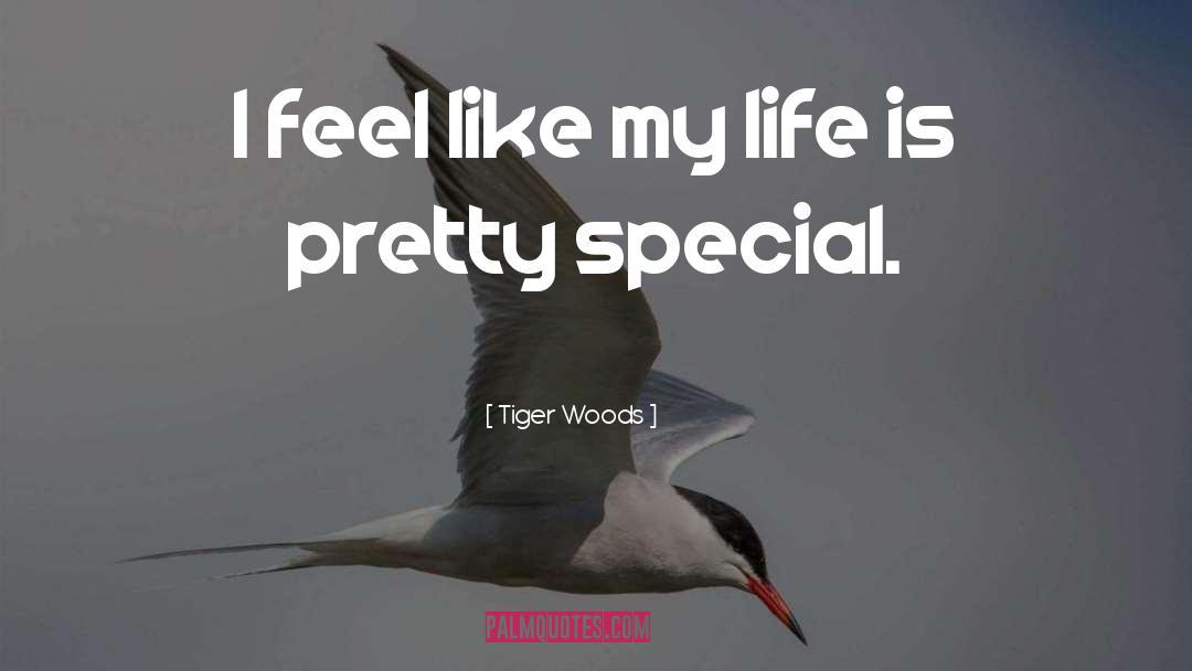 Motivational Tiger quotes by Tiger Woods