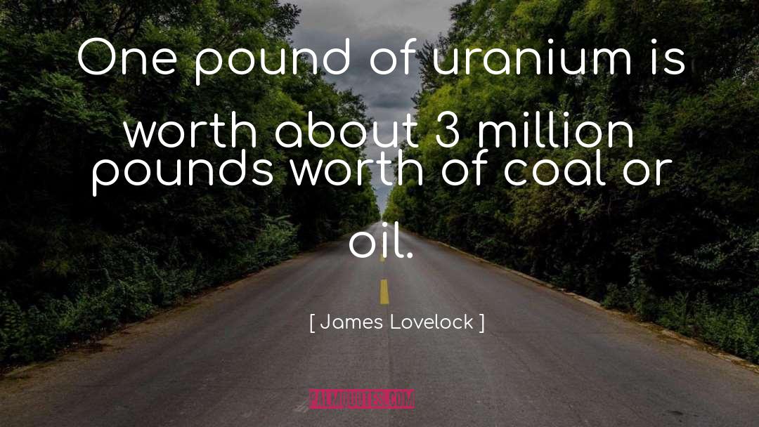 Motor Oil quotes by James Lovelock
