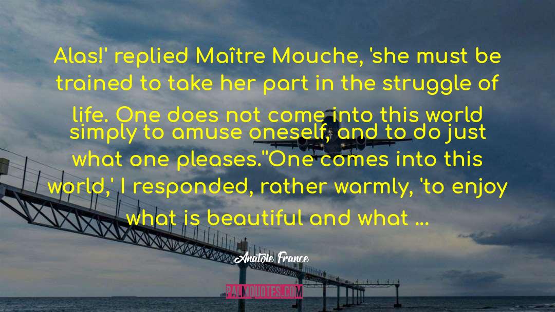 Mouche quotes by Anatole France