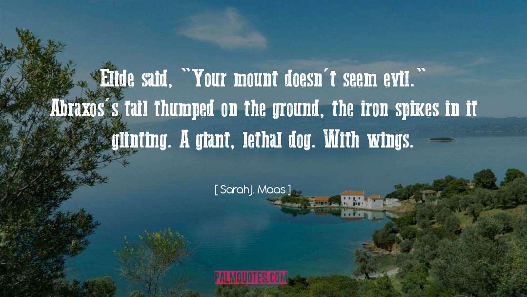 Mount Athos quotes by Sarah J. Maas