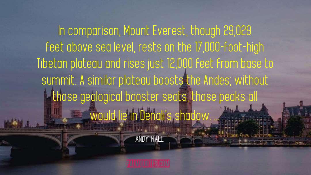 Mount Everest quotes by Andy Hall