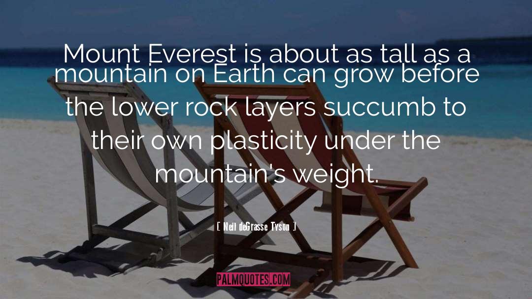 Mount Everest quotes by Neil DeGrasse Tyson