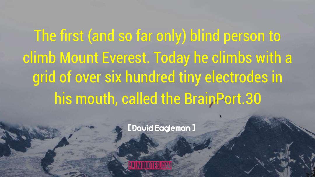 Mount Everest quotes by David Eagleman
