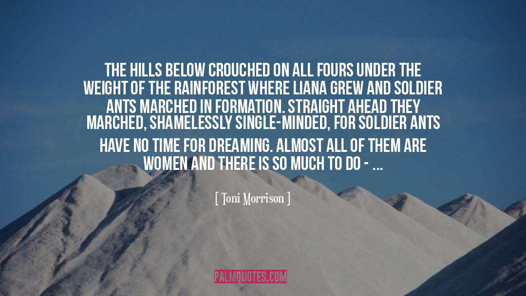 Mount Tamalpais quotes by Toni Morrison