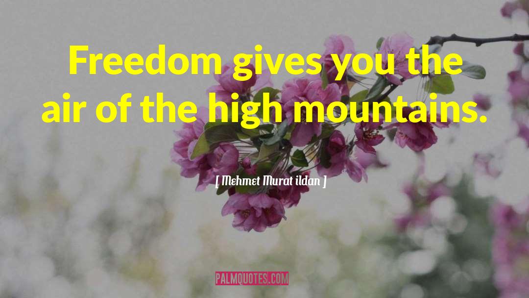 Mountain Air quotes by Mehmet Murat Ildan