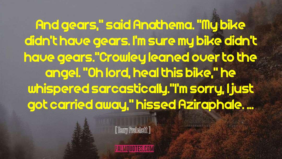 Mountain Bike Funny quotes by Terry Pratchett
