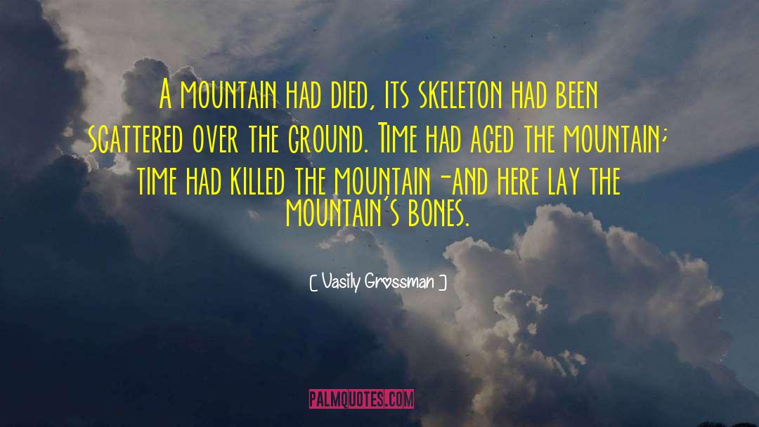 Mountain Bike Funny quotes by Vasily Grossman