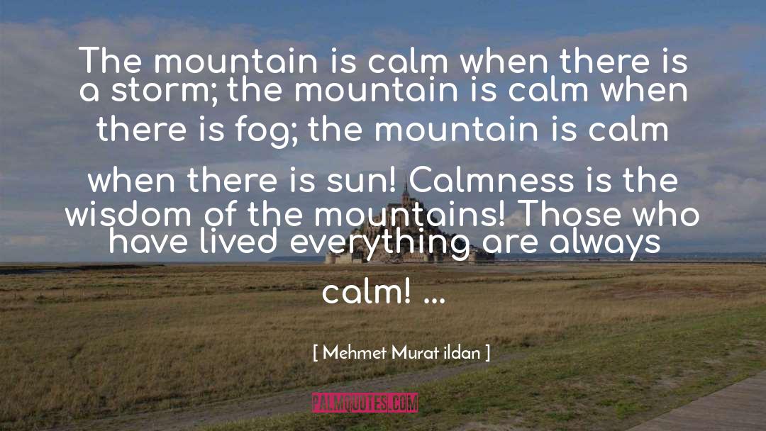 Mountain Bike Funny quotes by Mehmet Murat Ildan