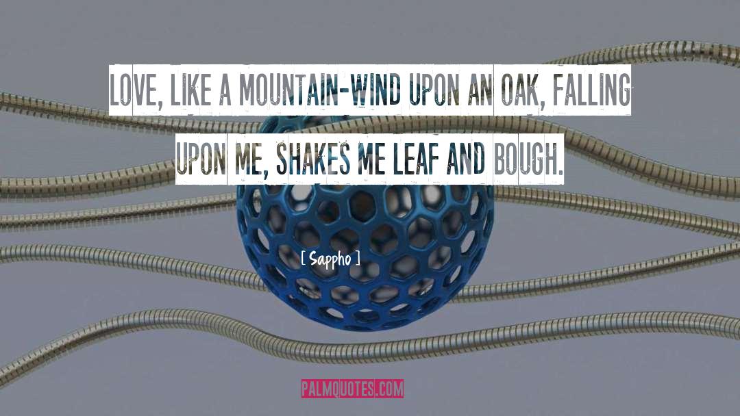 Mountain Biking quotes by Sappho