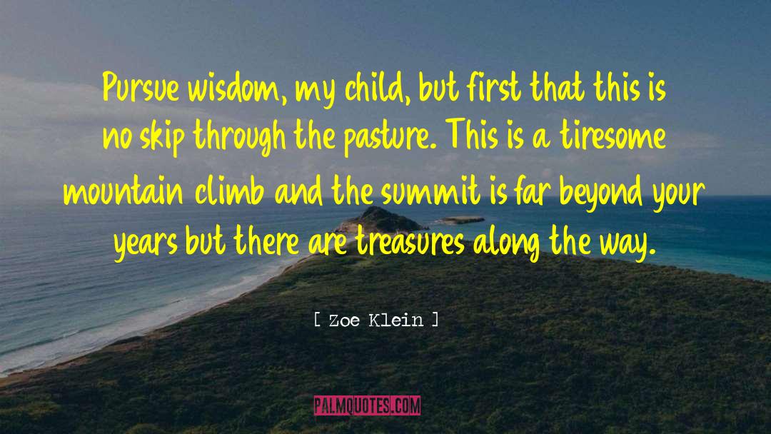Mountain Climb quotes by Zoe Klein
