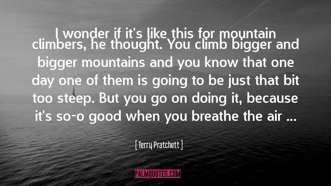 Mountain Climbers quotes by Terry Pratchett