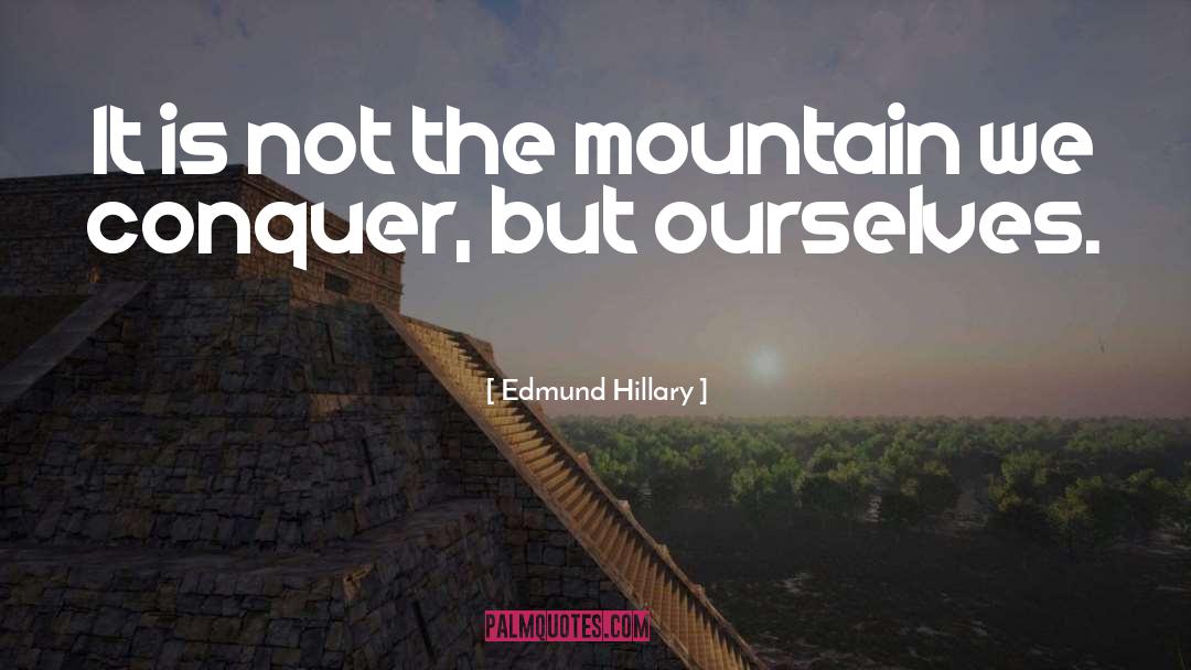 Mountain Lion quotes by Edmund Hillary