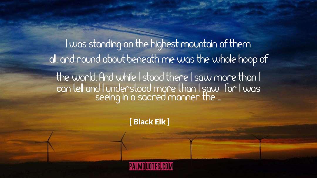 Mountain Of Black Glass quotes by Black Elk
