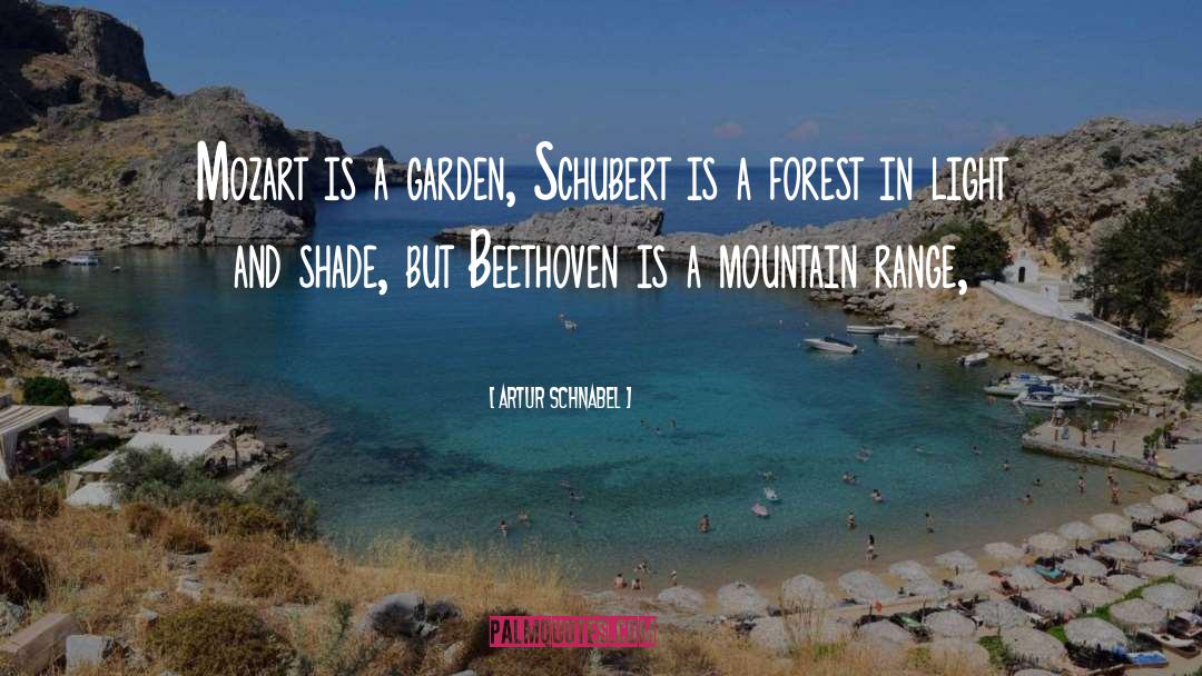 Mountain Ranges quotes by Artur Schnabel