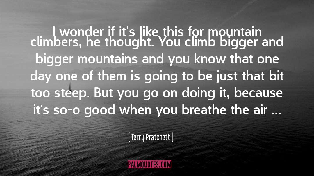 Mountain Scenery quotes by Terry Pratchett