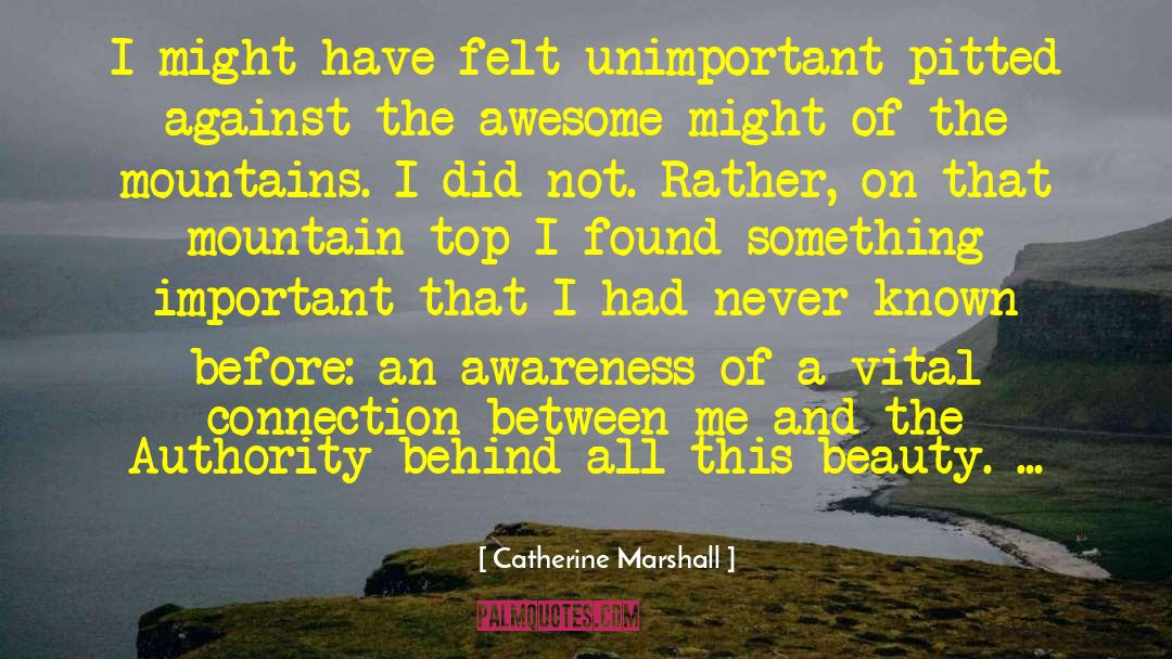 Mountain Top quotes by Catherine Marshall