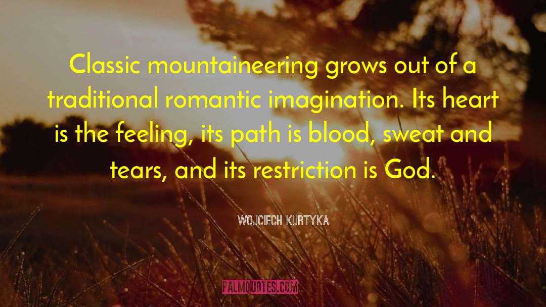 Mountaineering quotes by Wojciech Kurtyka
