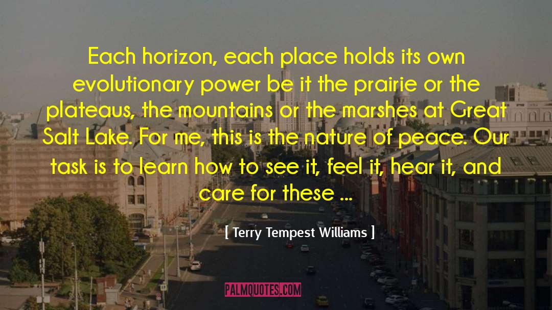 Mountains And Molehills quotes by Terry Tempest Williams