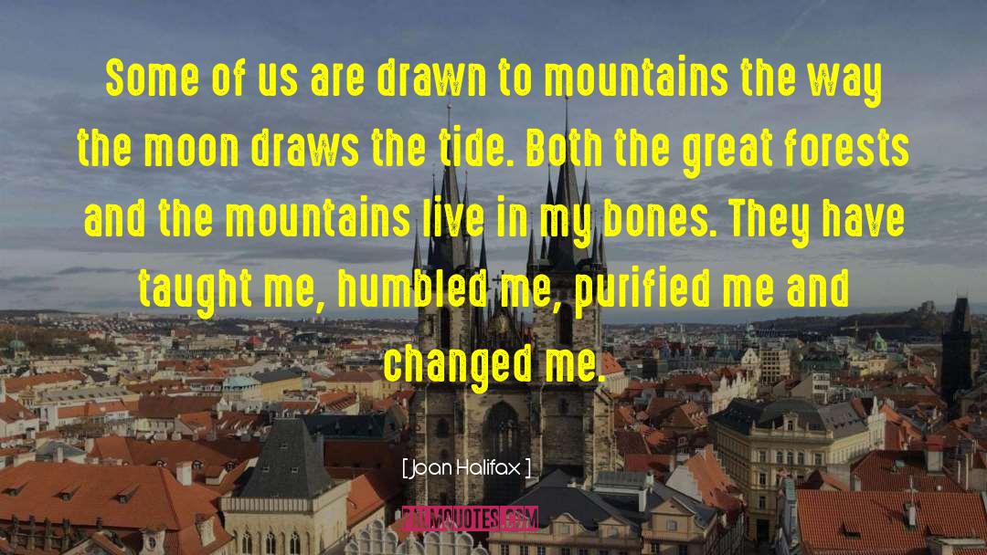 Mountains And Valleys quotes by Joan Halifax