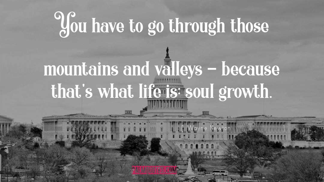 Mountains And Valleys quotes by Wayne Newton