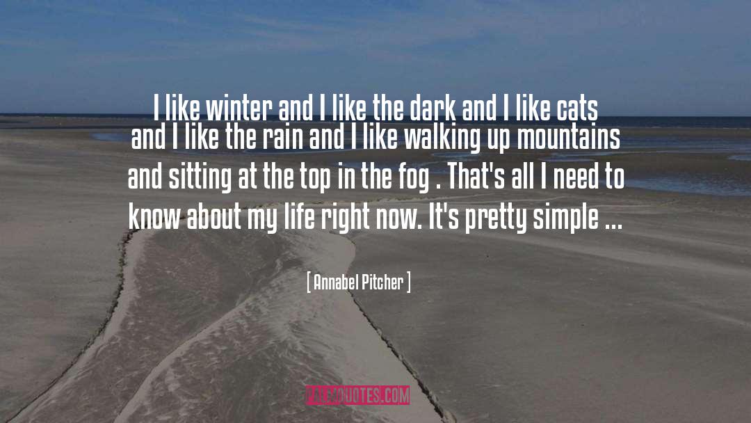 Mountains quotes by Annabel Pitcher
