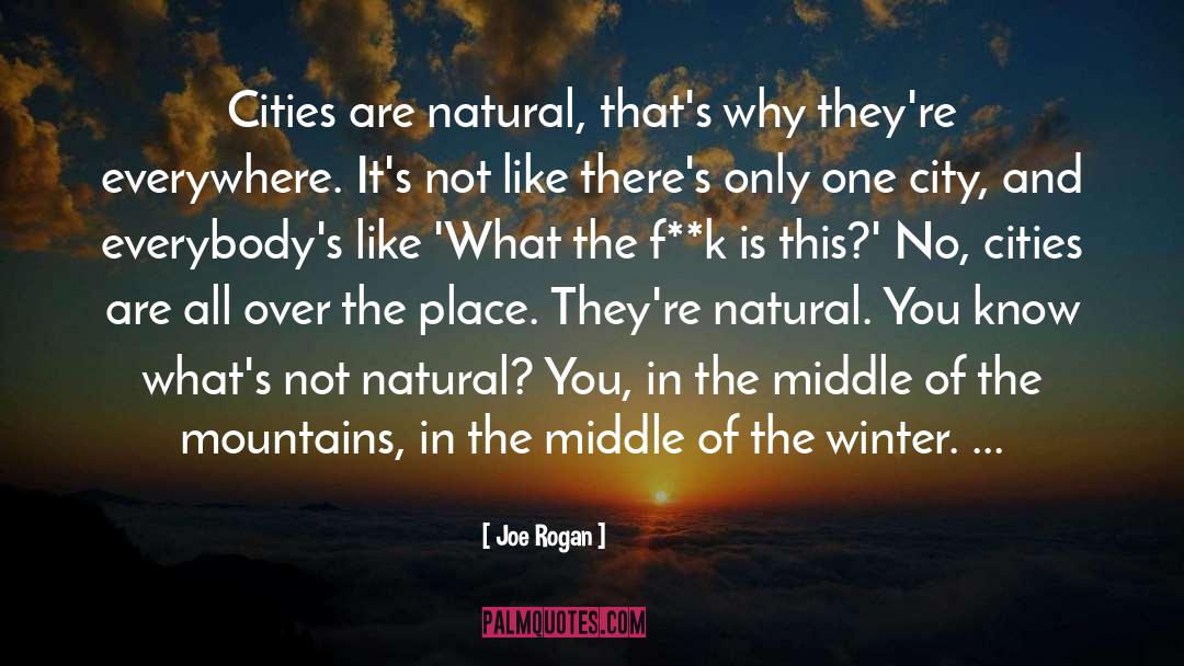 Mountains quotes by Joe Rogan