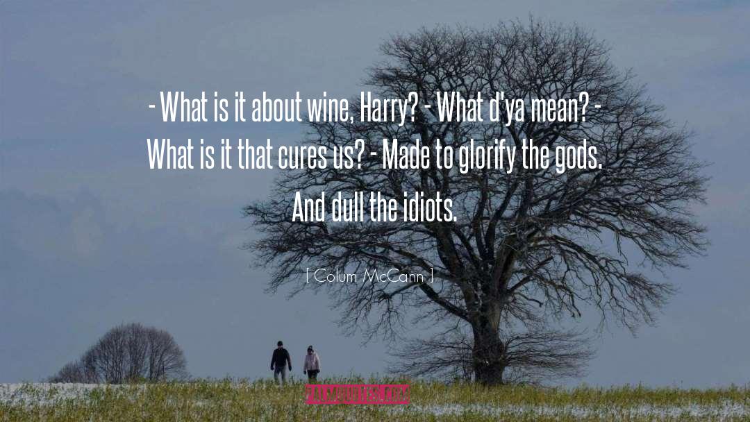 Mourat Wine quotes by Colum McCann