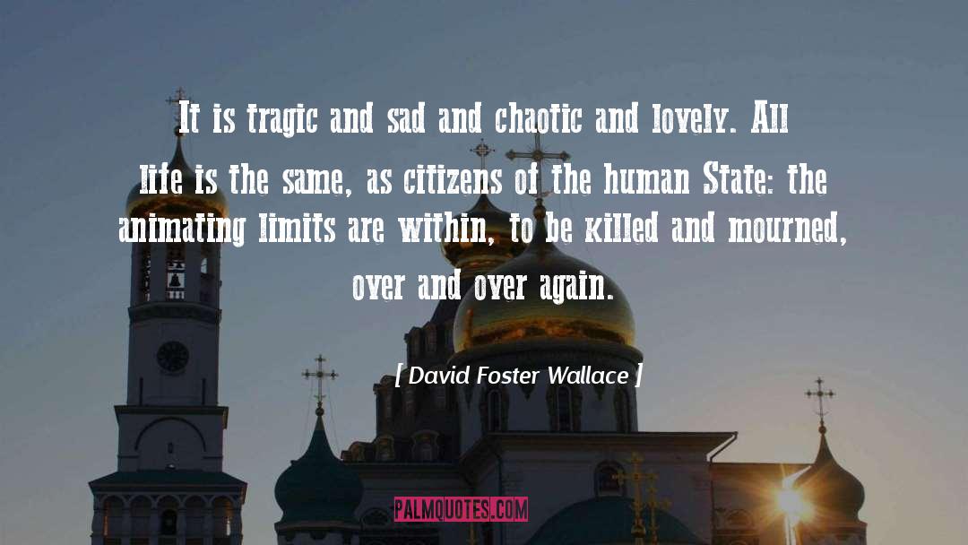 Mourned quotes by David Foster Wallace