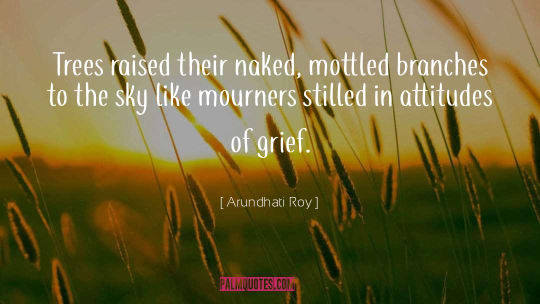 Mourners quotes by Arundhati Roy